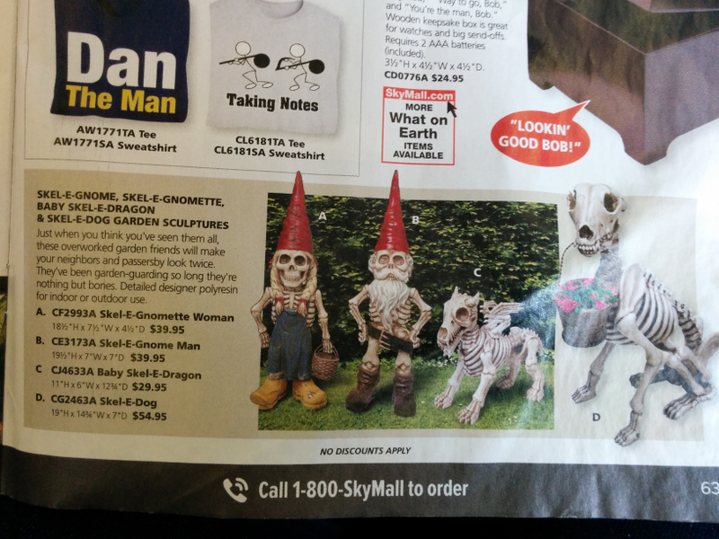Illustration for article titled SkyMall may follow The Onion’s lead and go web-only
